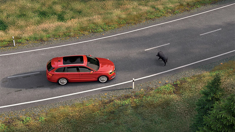 skoda octavia rs proaktivni ochrana